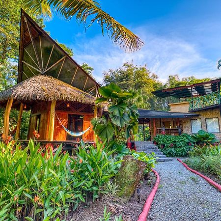 Tree House Beachfront Lodge Puerto Viejo de Talamanca エクステリア 写真