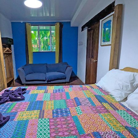 Tree House Beachfront Lodge Puerto Viejo de Talamanca エクステリア 写真