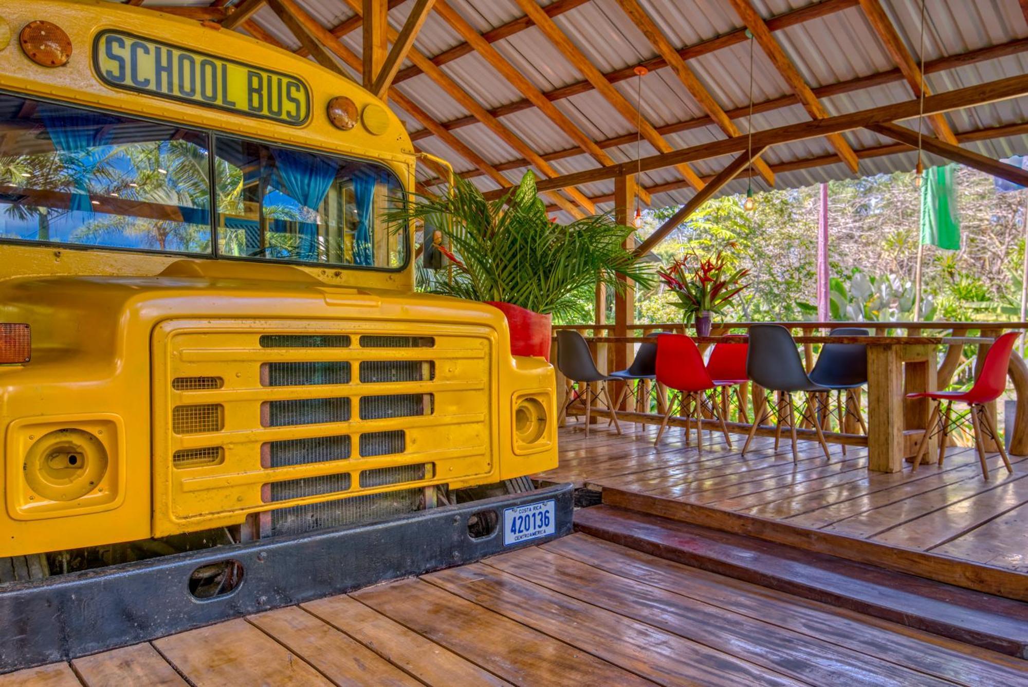 Tree House Beachfront Lodge Puerto Viejo de Talamanca エクステリア 写真