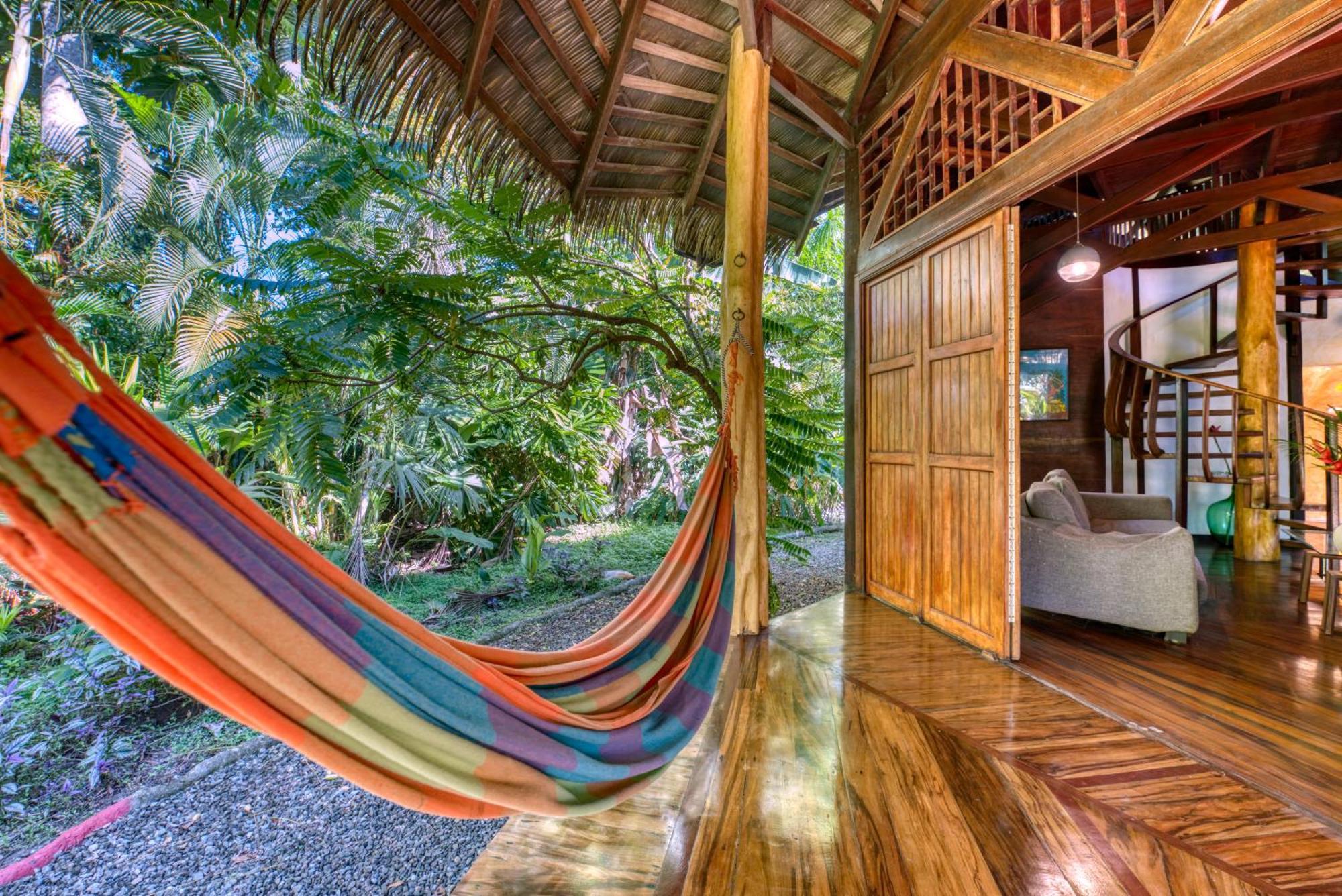 Tree House Beachfront Lodge Puerto Viejo de Talamanca エクステリア 写真