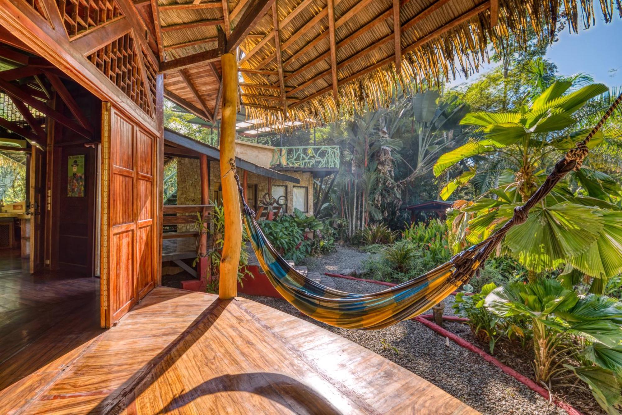 Tree House Beachfront Lodge Puerto Viejo de Talamanca エクステリア 写真
