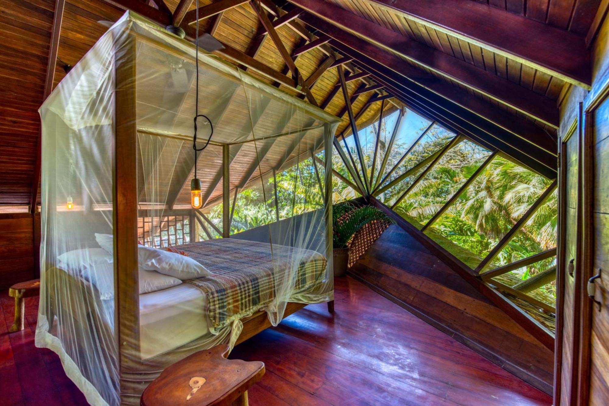 Tree House Beachfront Lodge Puerto Viejo de Talamanca エクステリア 写真