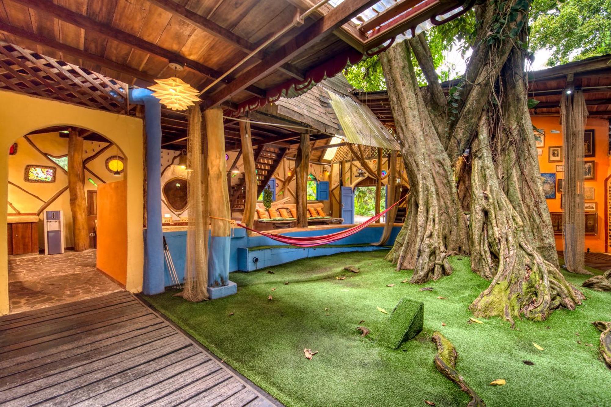Tree House Beachfront Lodge Puerto Viejo de Talamanca エクステリア 写真
