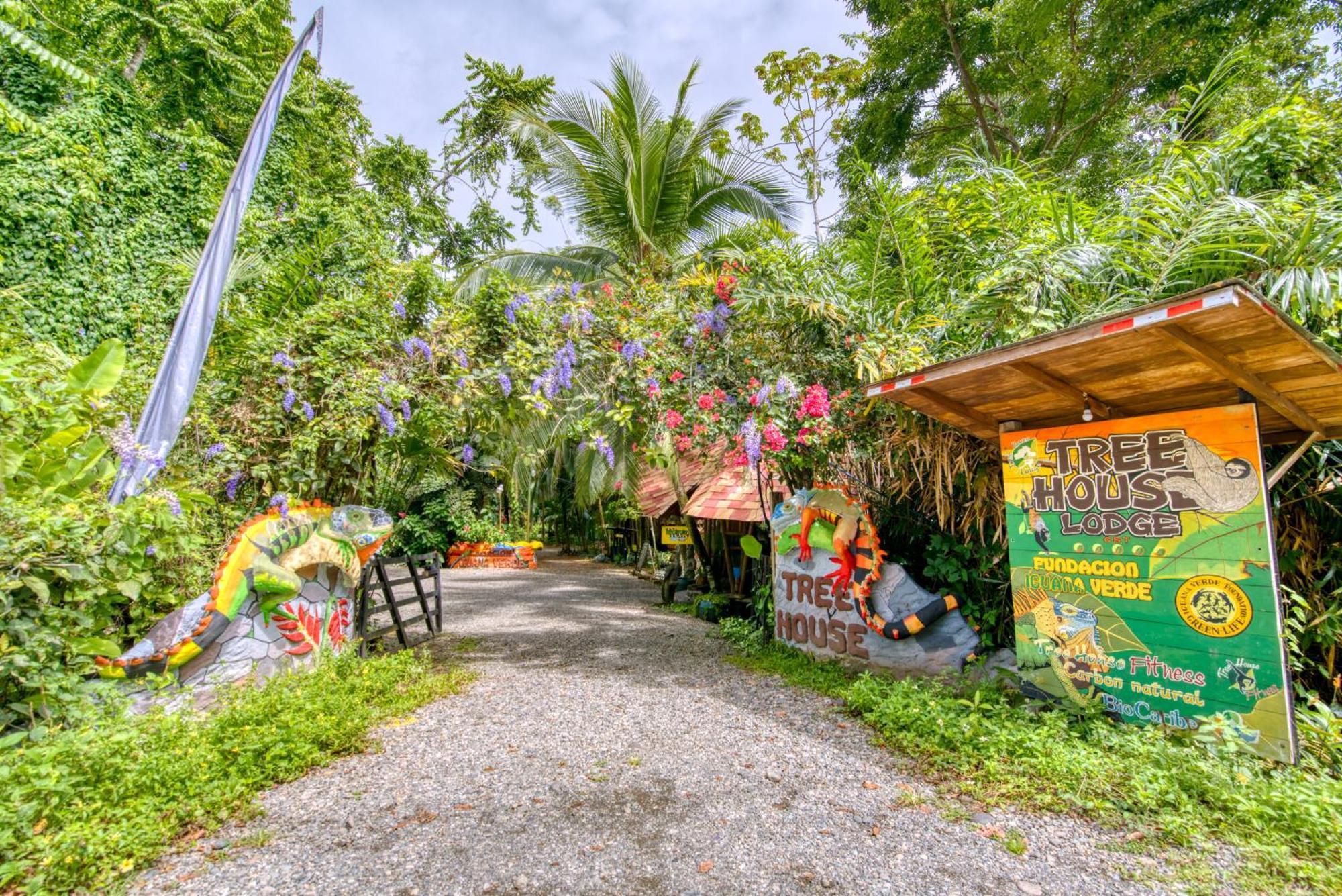 Tree House Beachfront Lodge Puerto Viejo de Talamanca エクステリア 写真