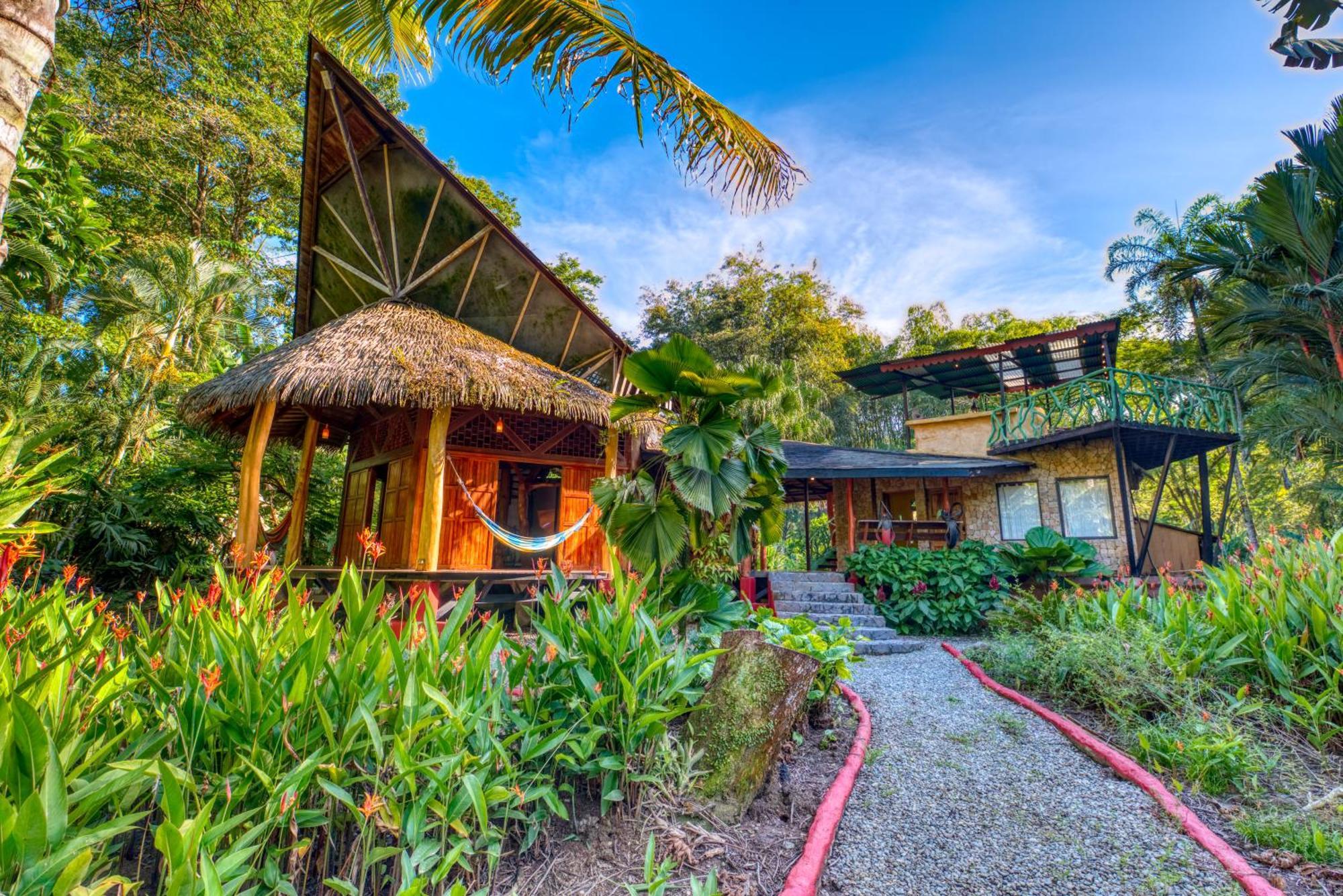 Tree House Beachfront Lodge Puerto Viejo de Talamanca エクステリア 写真