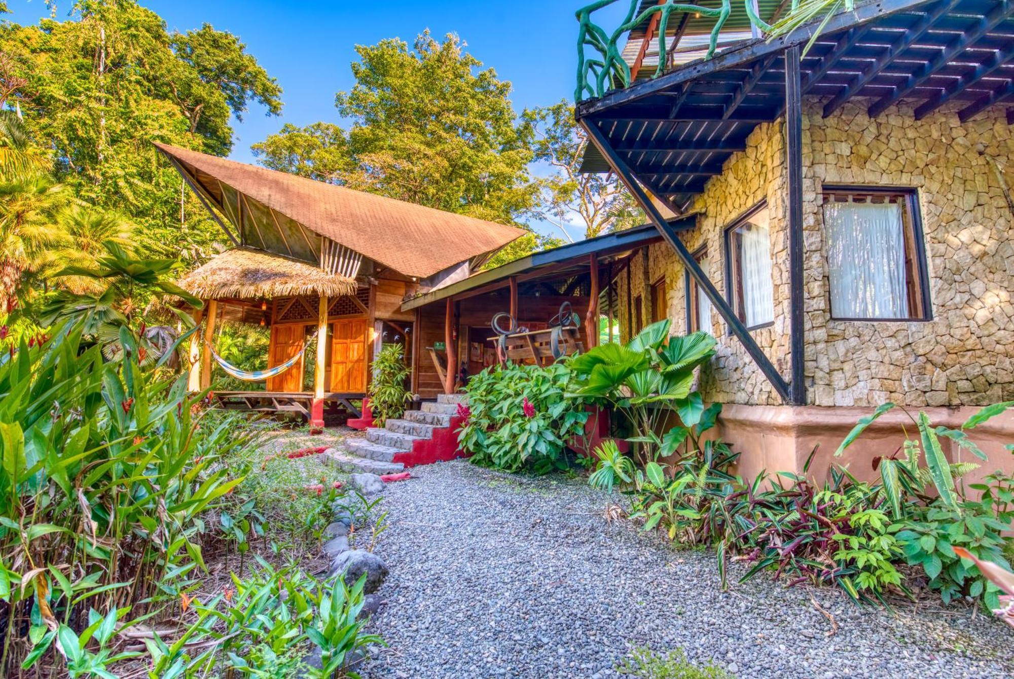 Tree House Beachfront Lodge Puerto Viejo de Talamanca エクステリア 写真