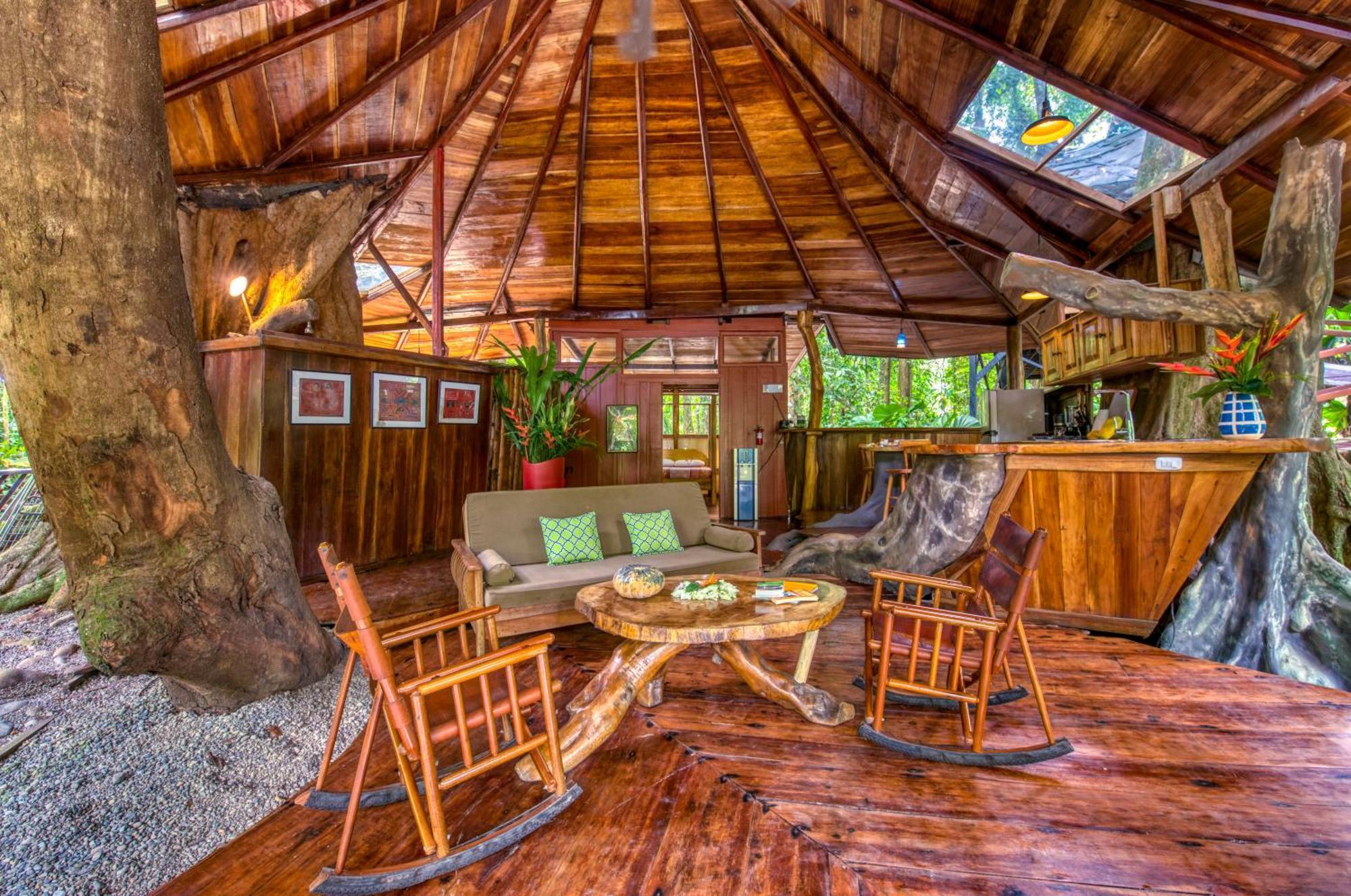 Tree House Beachfront Lodge Puerto Viejo de Talamanca エクステリア 写真