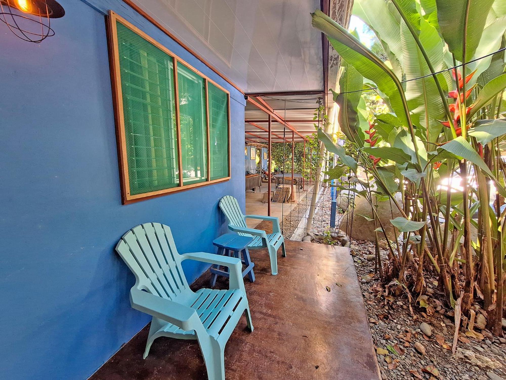Tree House Beachfront Lodge Puerto Viejo de Talamanca エクステリア 写真