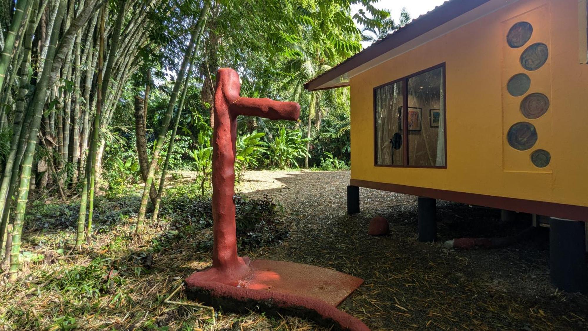 Tree House Beachfront Lodge Puerto Viejo de Talamanca エクステリア 写真