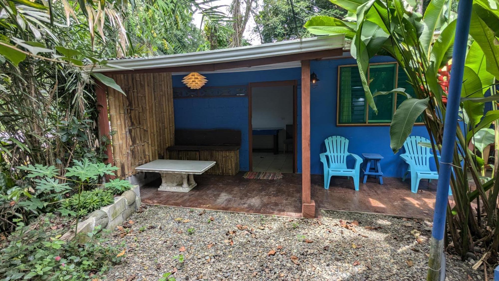 Tree House Beachfront Lodge Puerto Viejo de Talamanca エクステリア 写真