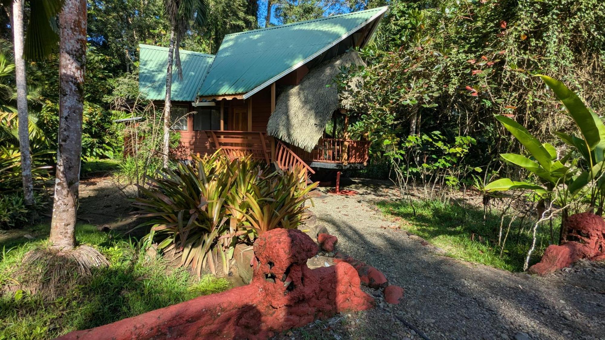Tree House Beachfront Lodge Puerto Viejo de Talamanca エクステリア 写真
