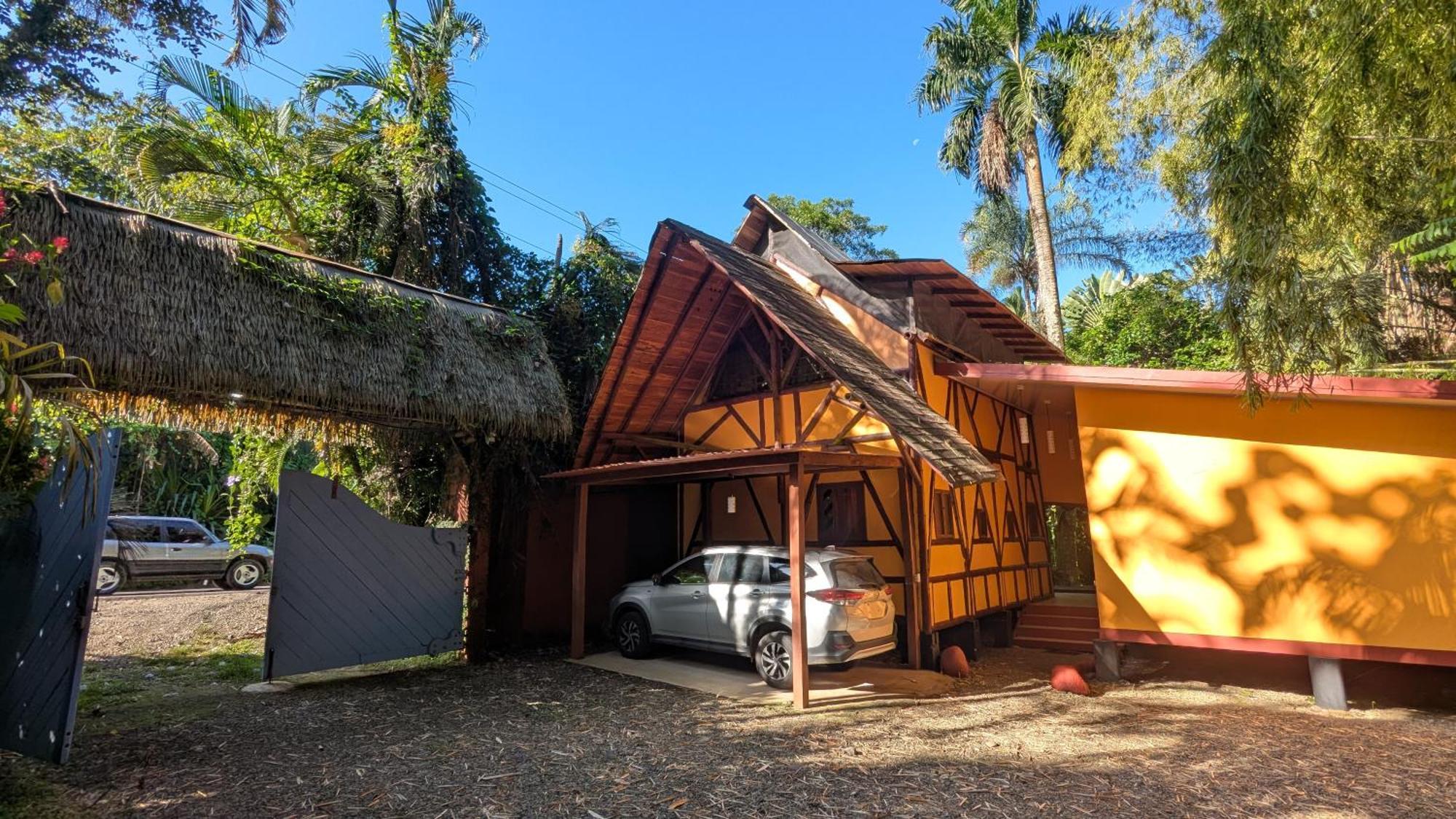 Tree House Beachfront Lodge Puerto Viejo de Talamanca エクステリア 写真