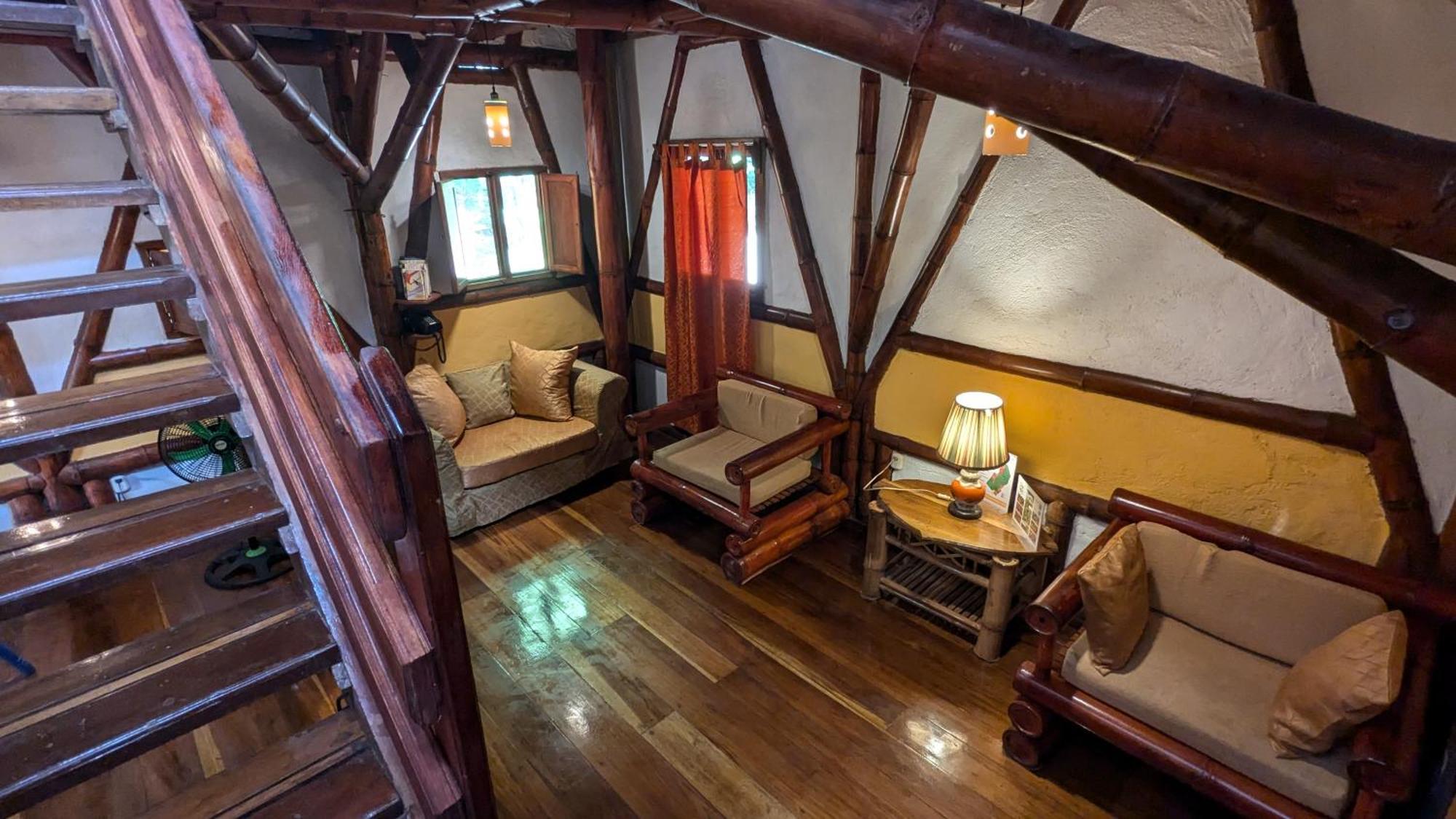 Tree House Beachfront Lodge Puerto Viejo de Talamanca エクステリア 写真