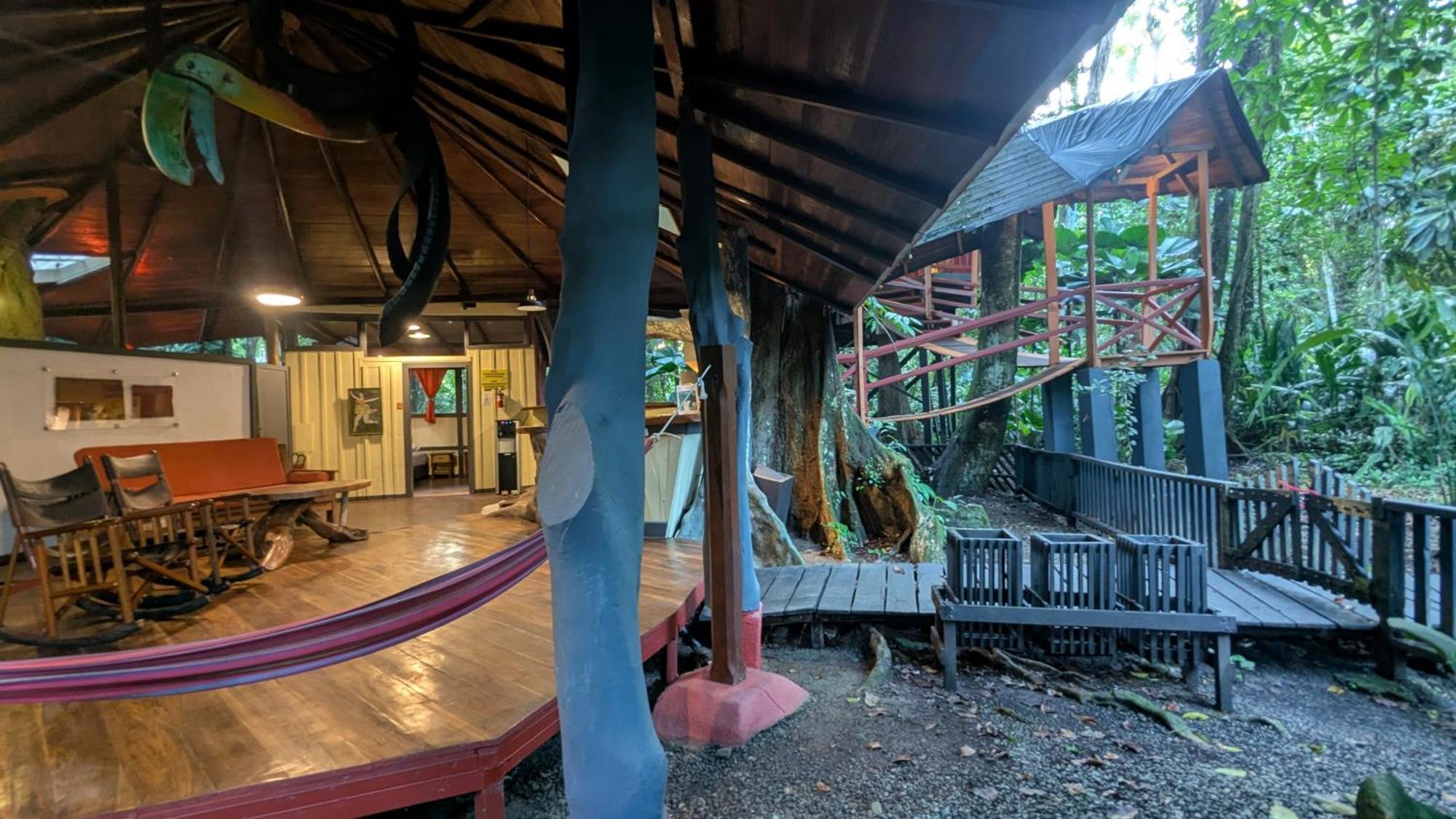 Tree House Beachfront Lodge Puerto Viejo de Talamanca エクステリア 写真