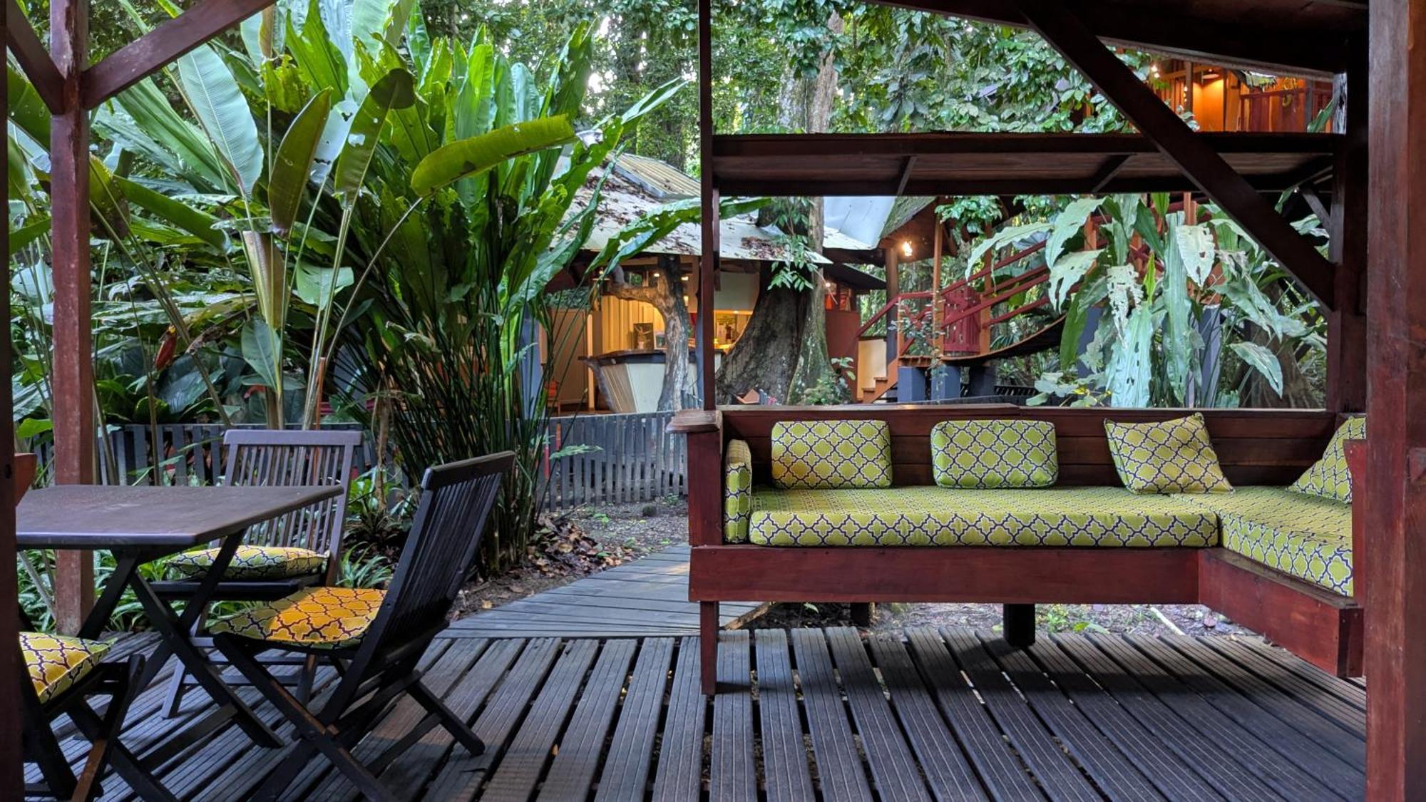 Tree House Beachfront Lodge Puerto Viejo de Talamanca エクステリア 写真
