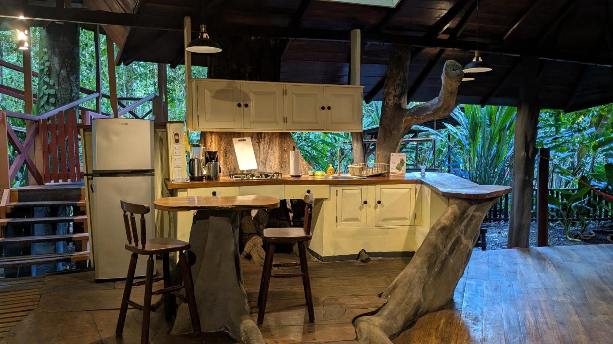 Tree House Beachfront Lodge Puerto Viejo de Talamanca エクステリア 写真
