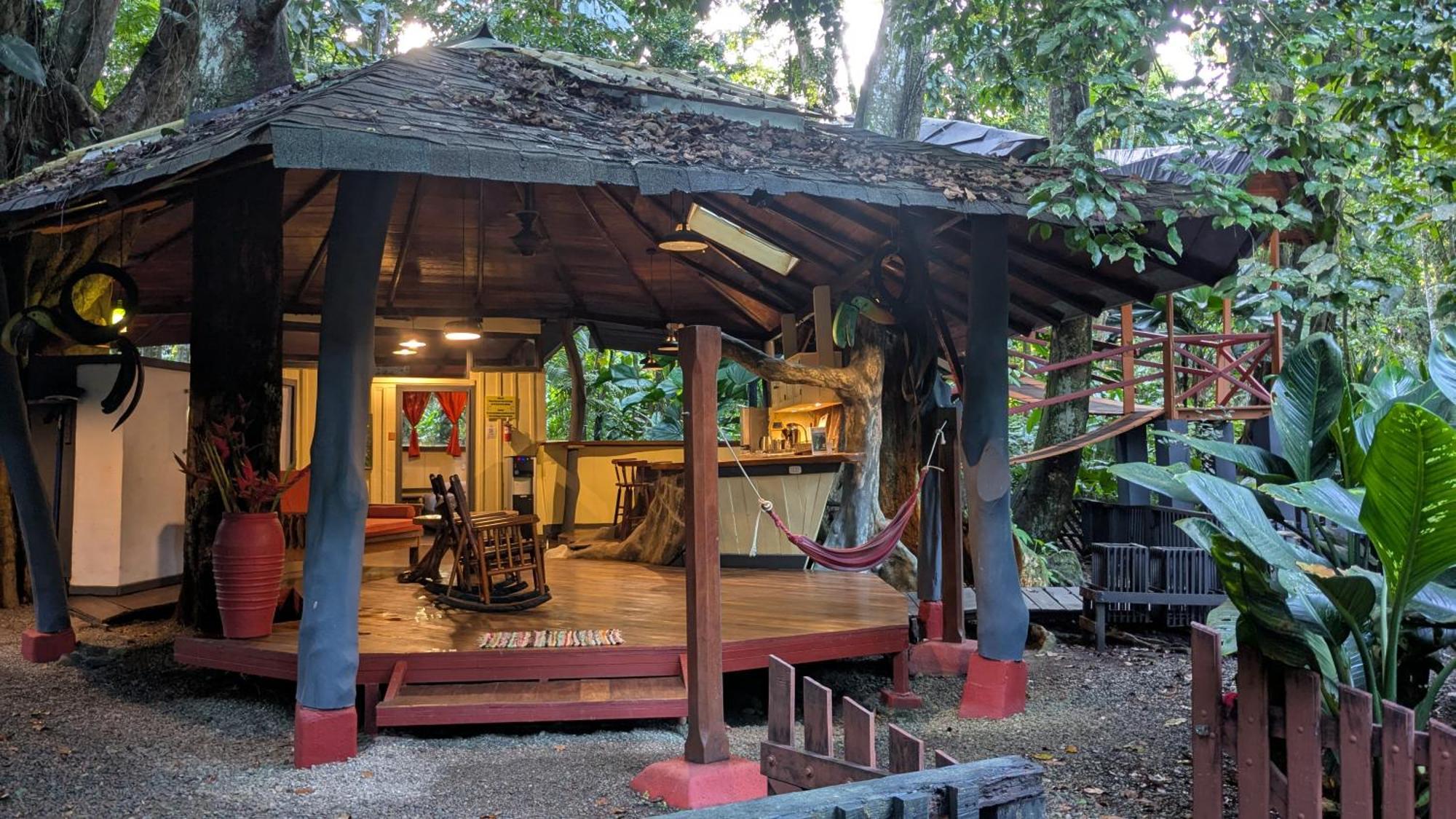 Tree House Beachfront Lodge Puerto Viejo de Talamanca エクステリア 写真