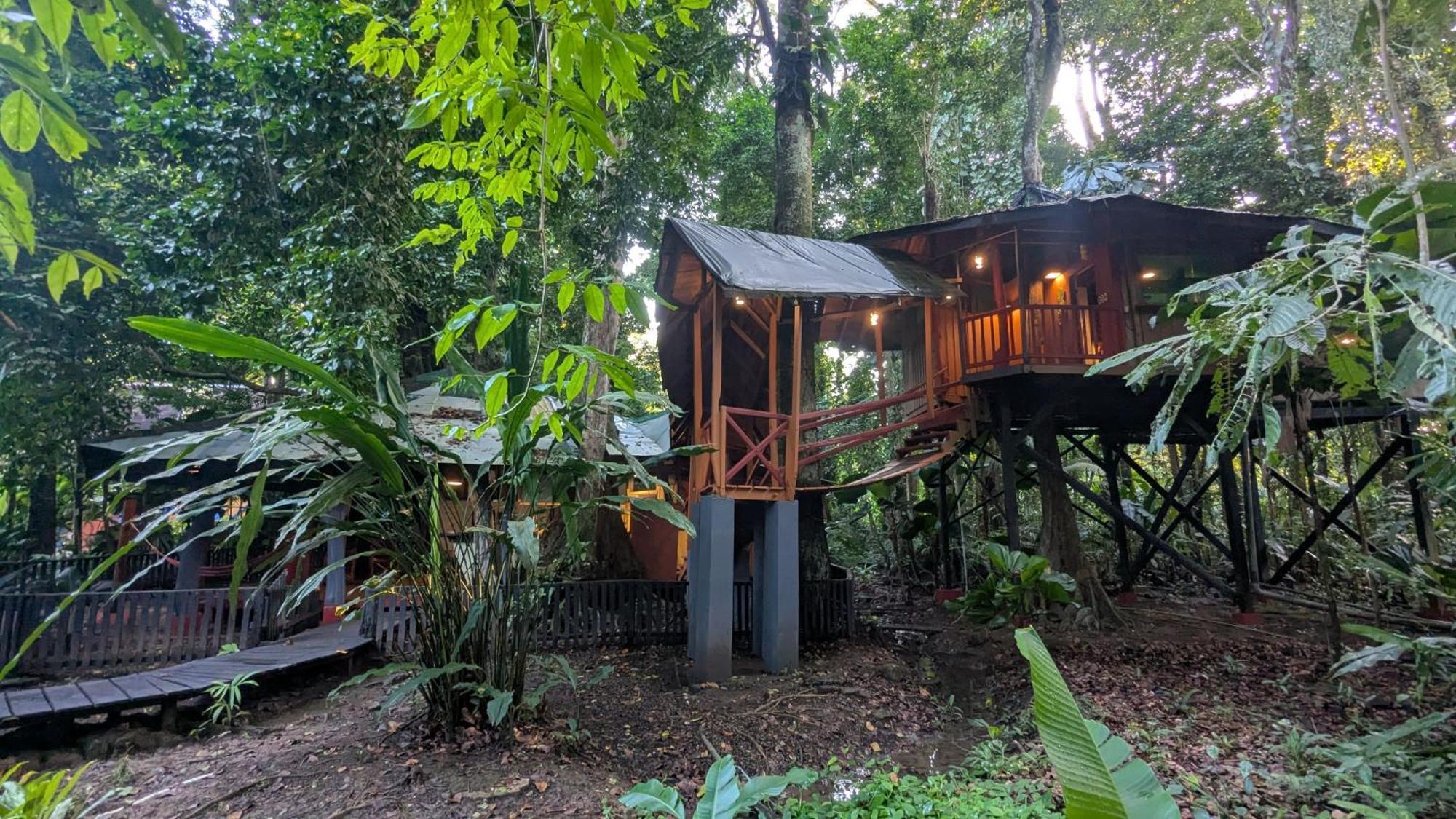 Tree House Beachfront Lodge Puerto Viejo de Talamanca エクステリア 写真