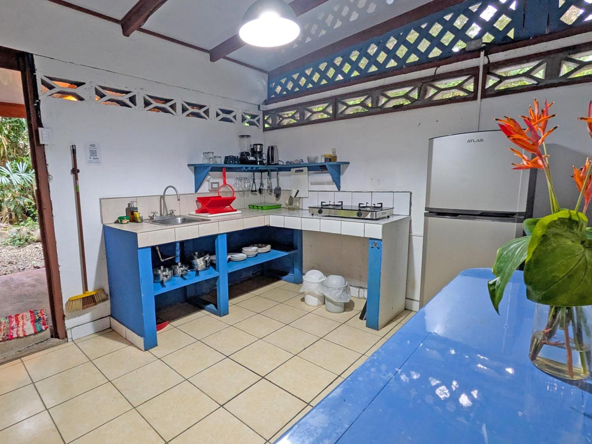 Tree House Beachfront Lodge Puerto Viejo de Talamanca エクステリア 写真